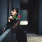 三度_69《玫瑰旗袍》主题写真：13张全套美图