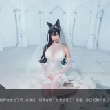三度_69《碧蓝航线 犬》主题写真：22张全套美图