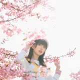 Kitaro_绮太郎《樱花》主题写真：18张全套美图