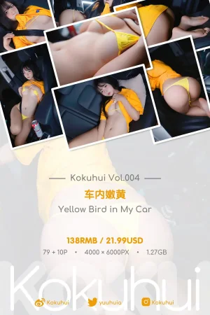 Kokuhui(yuuhui玉汇)《车内嫩黄》主题写真：93张全套美图