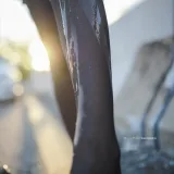 柒柒_Lust77《午后JK》主题写真：34张全套美图，含5个视频