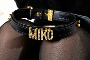 miko酱ww《礼物猫猫》主题写真：43张全套美图