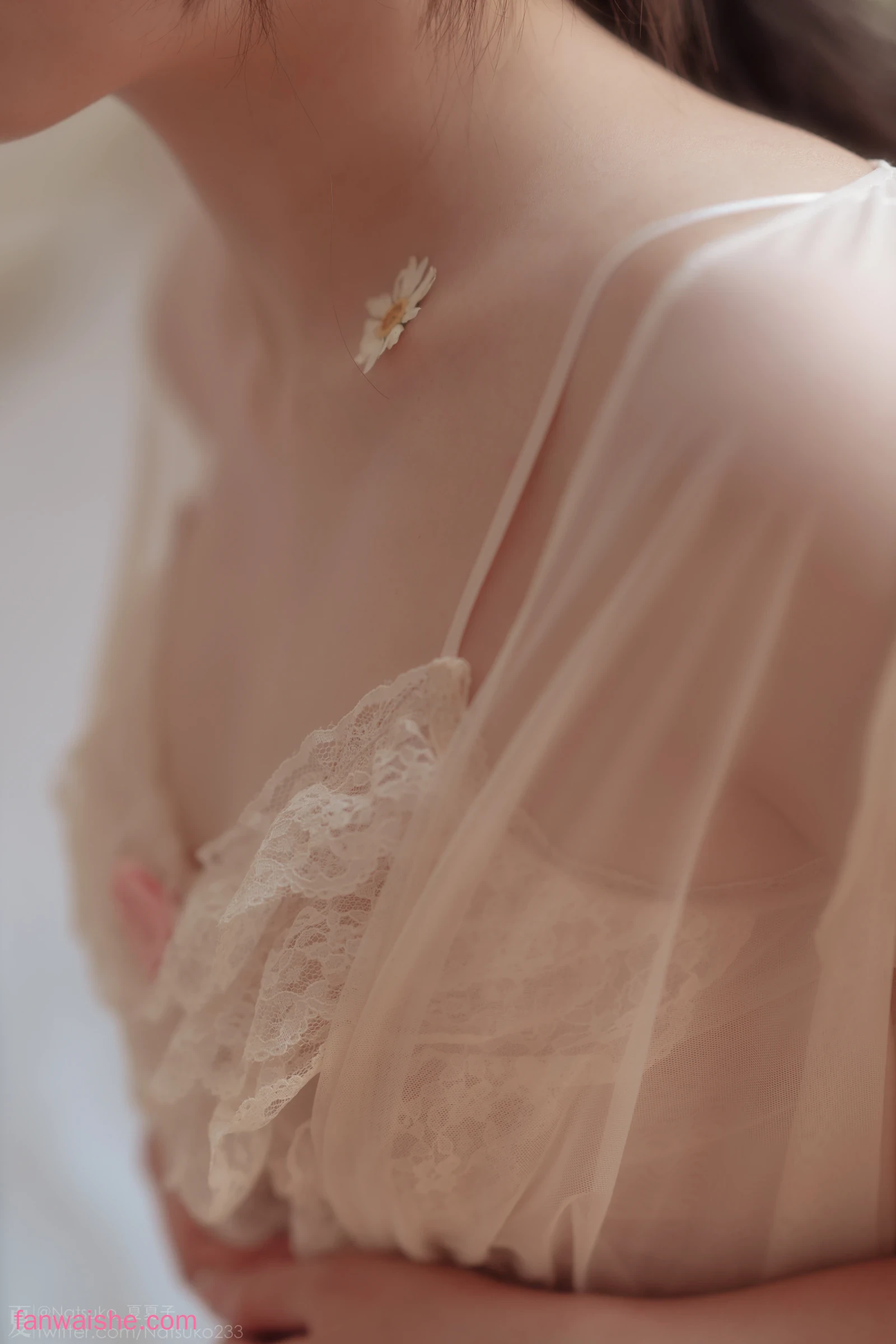 Natsuko_夏夏子 Natsuko_夏夏子 NO.053 - 雏菊