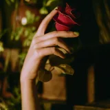 奈汐酱nice《黄昏》主题写真：18张全套美图