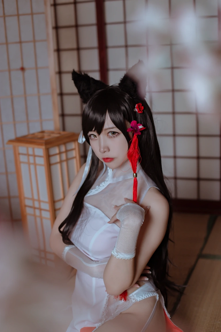 二佐Nisa《犬之眷 碧蓝爱宕旗袍》主题写真：18张全套美图