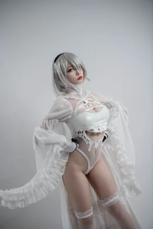二佐Nisa《2b同人花嫁》主题写真：26张全套美图