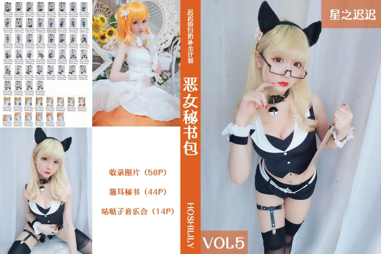 星之迟迟《VOL.5 恶女秘书包》主题写真：59张全套美图