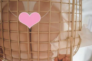 面饼仙儿《白色空间 假过膝》主题写真：10张全套美图