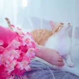 阿半今天很开心《杀生学院》主题写真：25张全套美图
