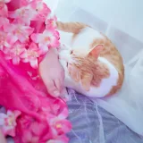 阿半今天很开心《杀生学院》主题写真：25张全套美图
