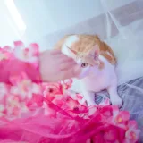 阿半今天很开心《杀生学院》主题写真：25张全套美图