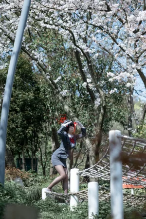 矢量鱼《蔚蓝档案 春日椿导游》主题写真：32张全套美图