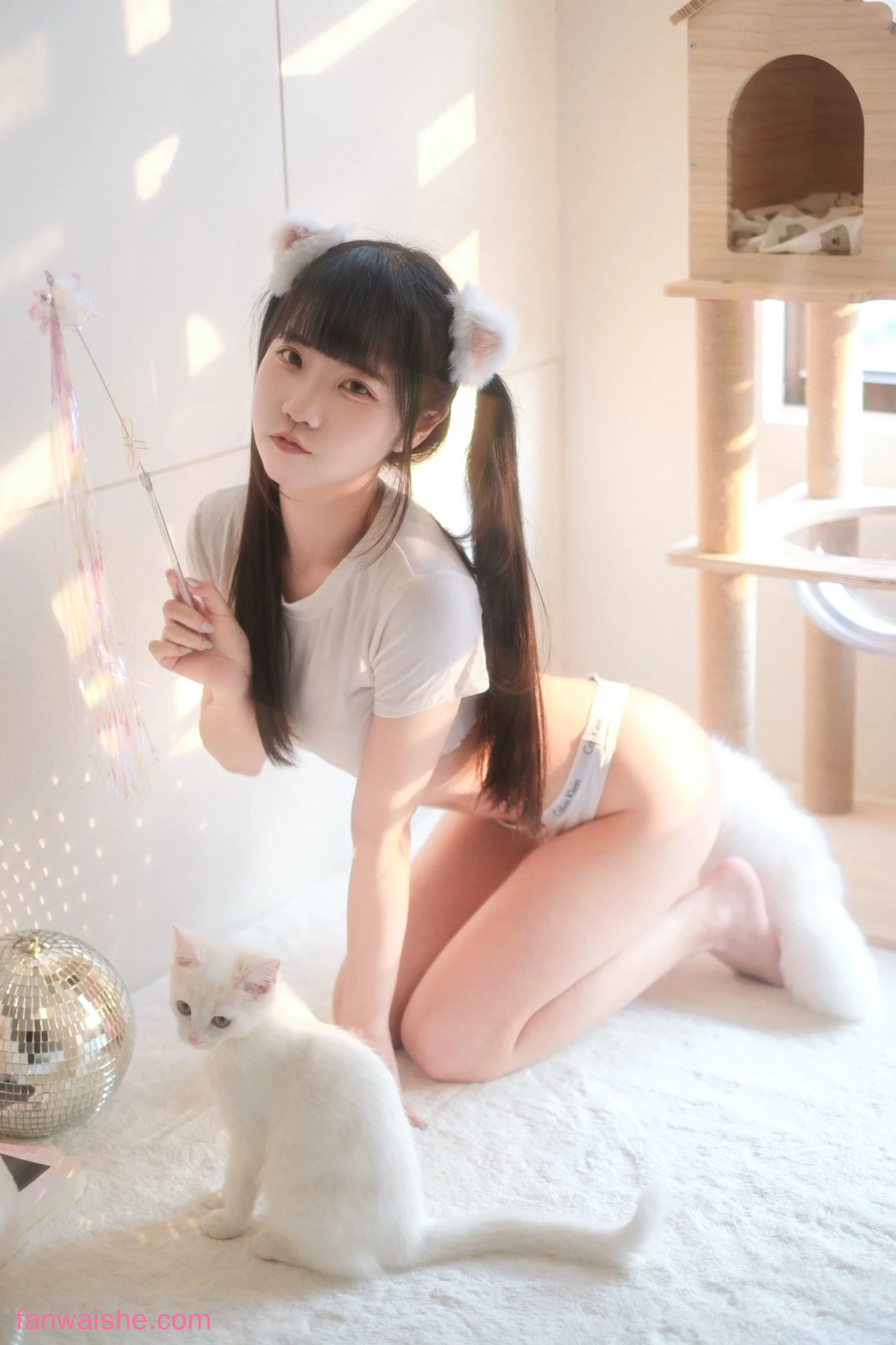 可可小白兔 可可小白兔 NO.012 - 小貓娘想被主人疼愛