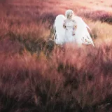 清青琴玖《粉天使》主题写真：24张全套美图