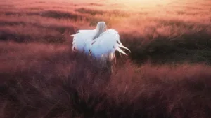 清青琴玖《粉天使》主题写真：24张全套美图