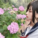 凛子酱《紫阳花》主题写真：27张全套美图