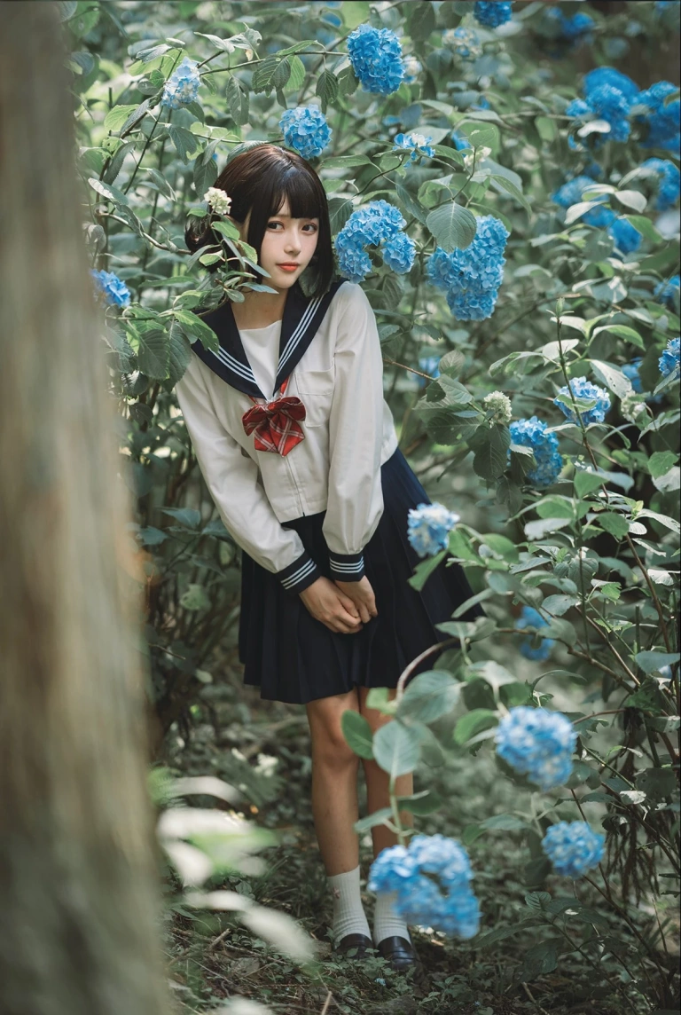 凛子酱《紫阳花》主题写真：27张全套美图