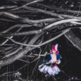 桜桃喵《天鹅之梦》主题写真：12张全套美图