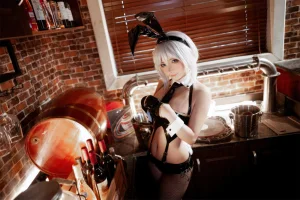 是三不是世《华盛顿兔女郎》主题写真：37张全套美图