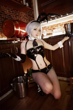 是三不是世《华盛顿兔女郎》主题写真：37张全套美图