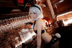 是三不是世《华盛顿兔女郎》主题写真：37张全套美图
