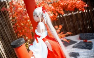 是三不是世《碧蓝航线 可畏巫女》主题写真：21张全套美图