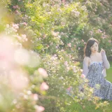 皮皮奶《蔷薇花》主题写真：36张全套美图