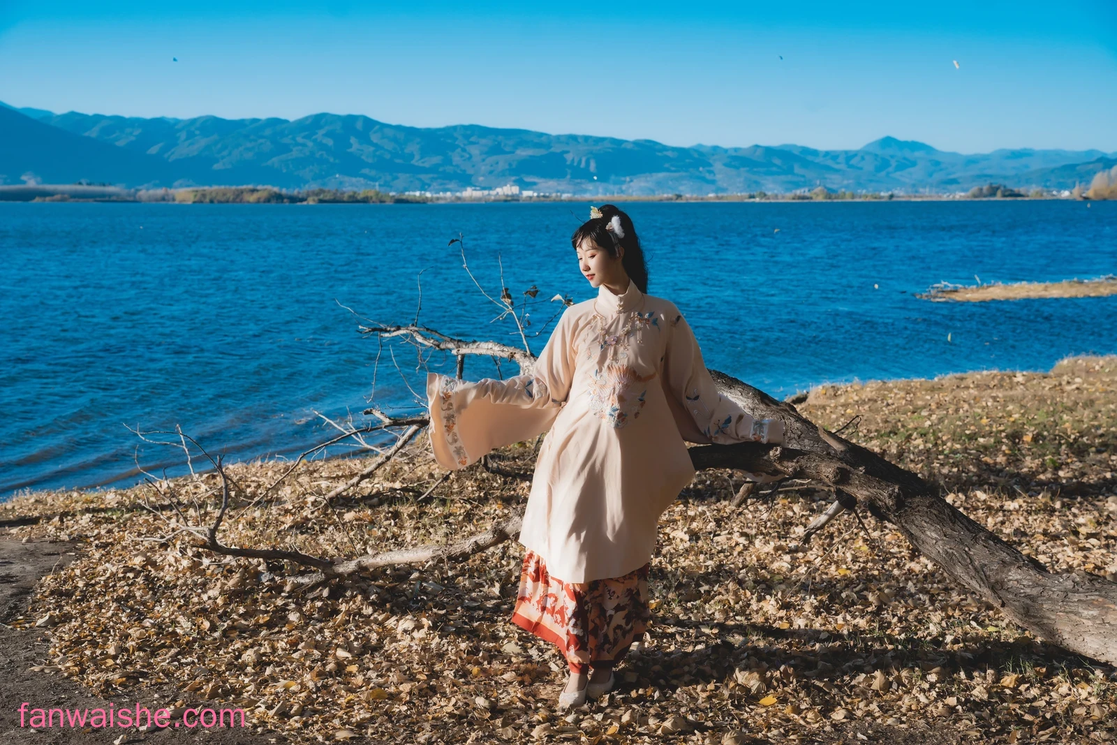 木棉棉 木棉棉 NO.081 - 山川如酒