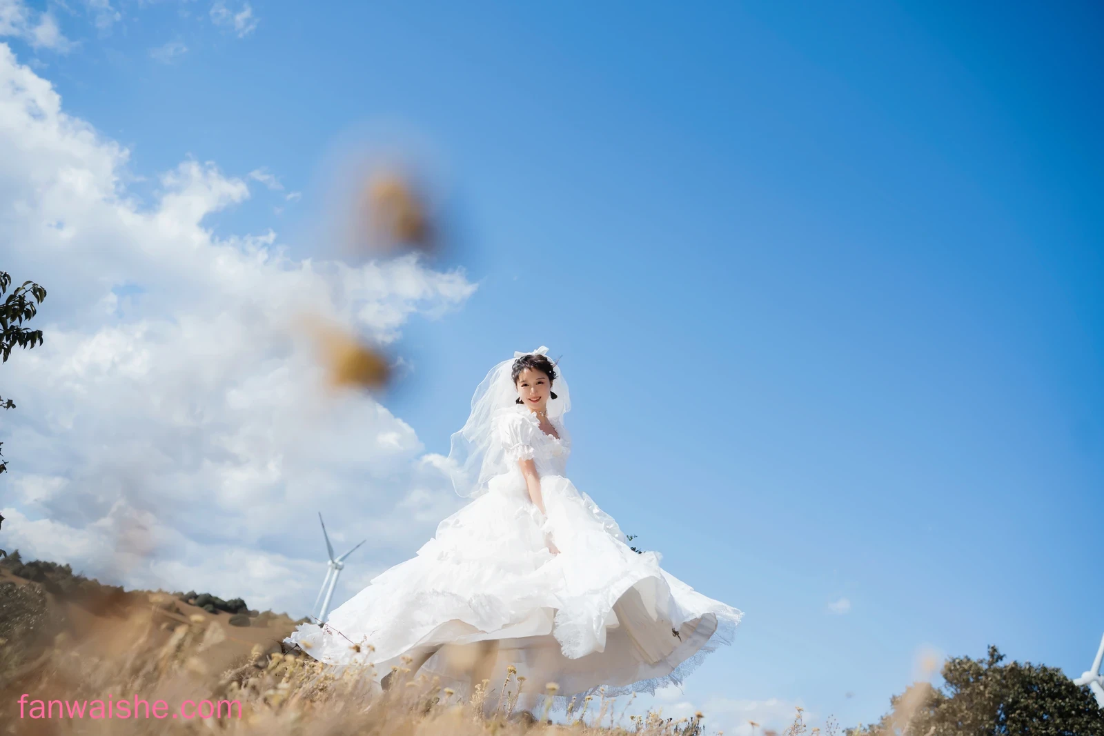 木棉棉 木棉棉 NO.083 - 风车下的约定