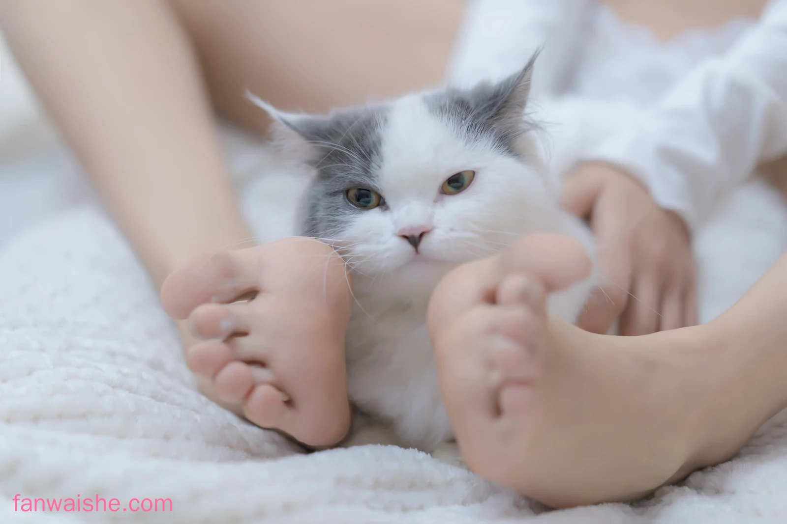 过期米线线喵 过期米线线喵 NO.105 - 我和猫