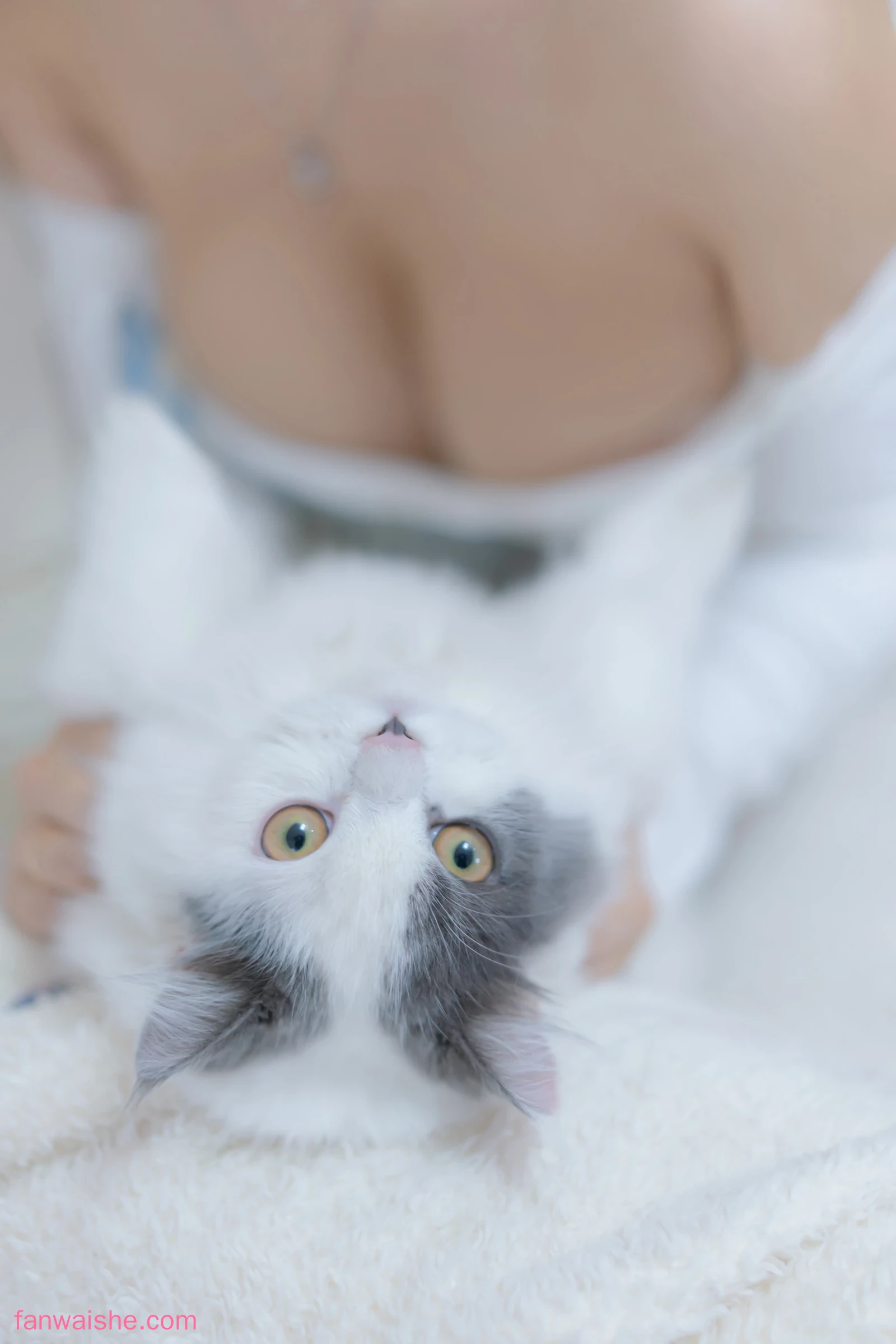 过期米线线喵 过期米线线喵 NO.105 - 我和猫