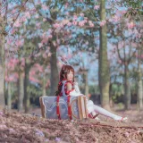 桜桃喵《花见巫女》主题写真：32张全套美图