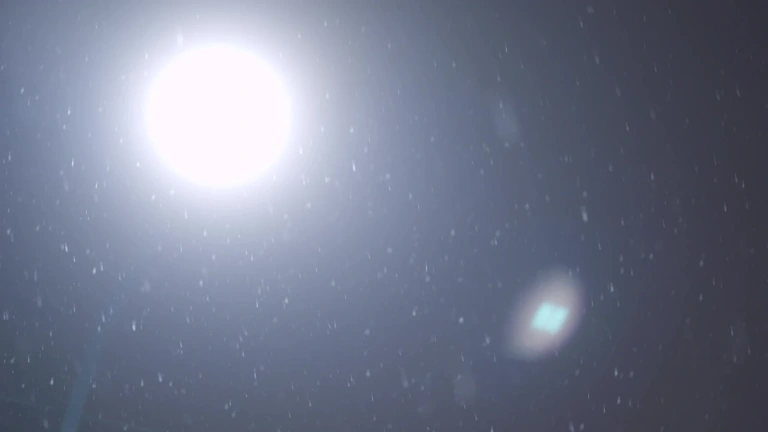 蠢沫沫《下雪》主题视频：共1个视频