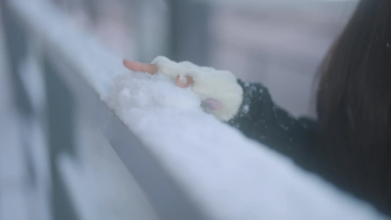 蠢沫沫《下雪》主题视频：共1个视频