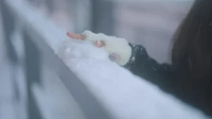 蠢沫沫《下雪》主题视频：共1个视频