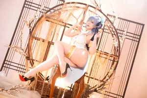 星之迟迟《2024年01月计划B RE：0 蕾姆 旗袍ver》主题写真：76张全套美图