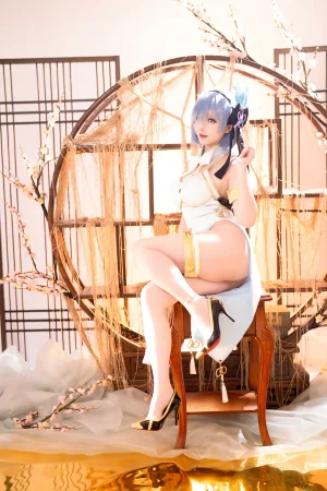 星之迟迟《2024年01月计划B RE：0 蕾姆 旗袍ver》主题写真：76张全套美图
