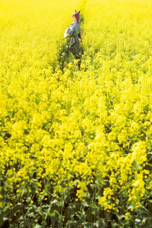 星之迟迟《2024年07月计划G 赠品 赛马娘 里见光钻 梦想的回应》主题写真：48张全套美图，含1个视频
