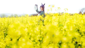 星之迟迟《2024年07月计划G 赠品 赛马娘 里见光钻 梦想的回应》主题写真：48张全套美图，含1个视频