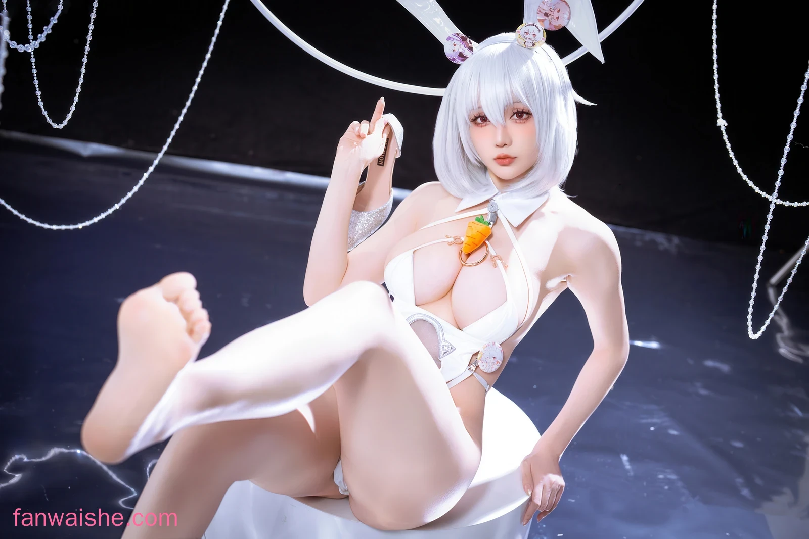 星之迟迟 星之迟迟 NO.325 - 2026年01月计划F 碧蓝航线 天狼星