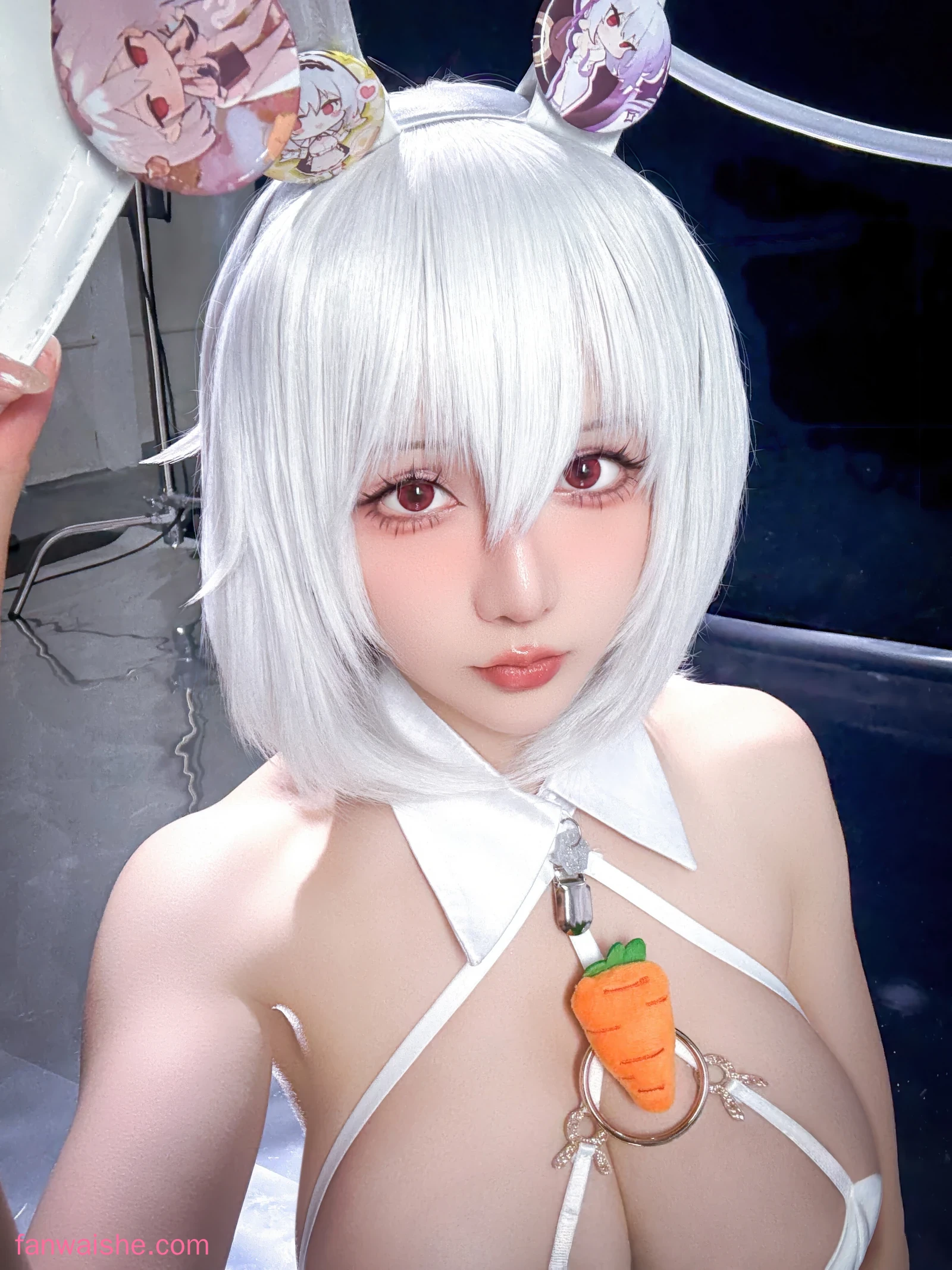 星之迟迟 星之迟迟 NO.325 - 2026年01月计划F 碧蓝航线 天狼星