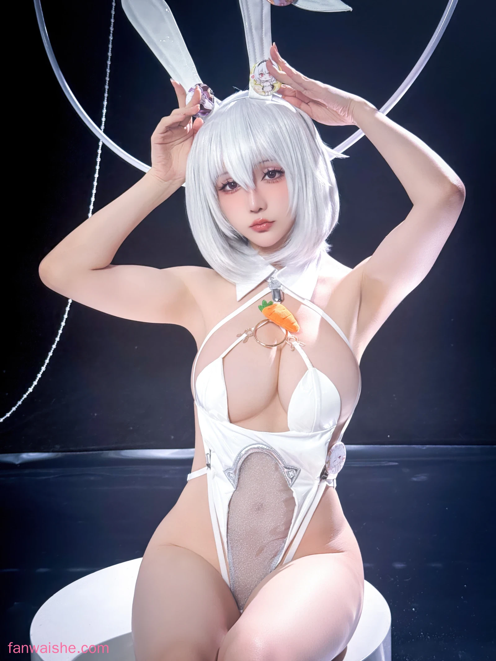 星之迟迟 星之迟迟 NO.325 - 2026年01月计划F 碧蓝航线 天狼星