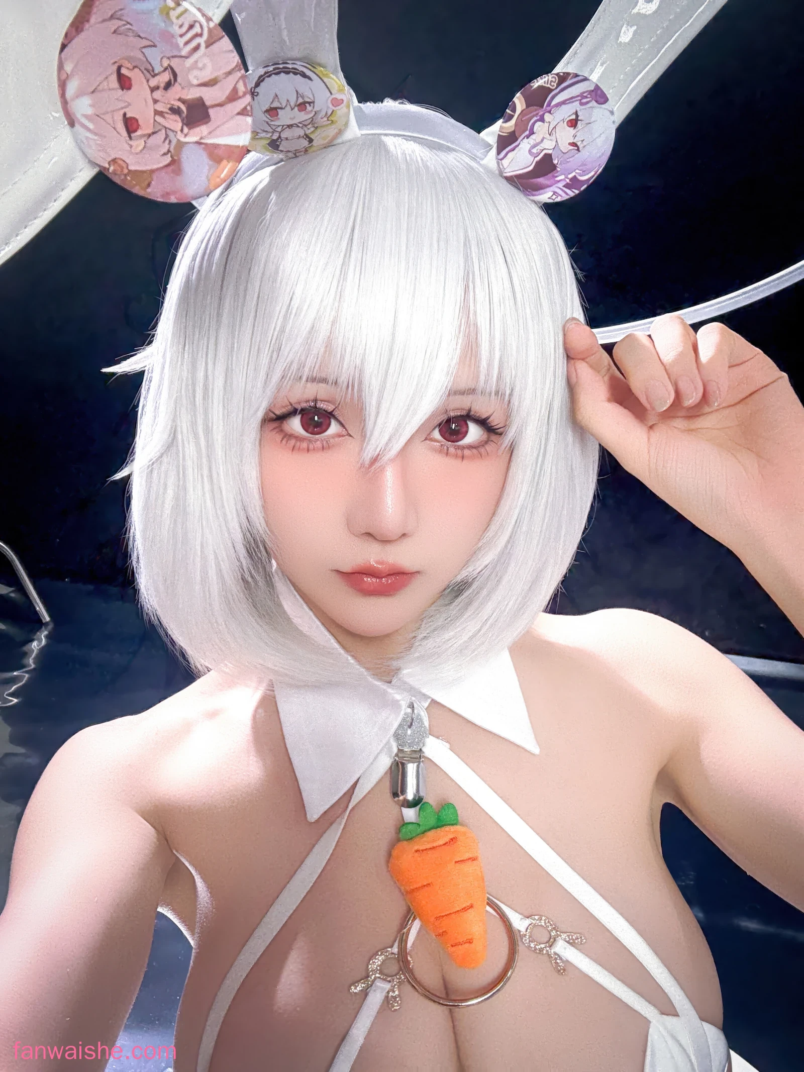星之迟迟 星之迟迟 NO.325 - 2026年01月计划F 碧蓝航线 天狼星