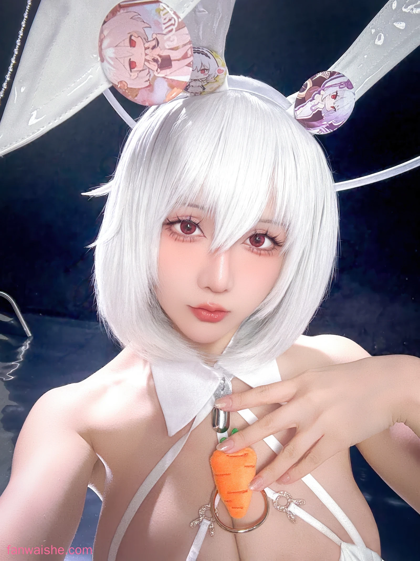 星之迟迟 星之迟迟 NO.325 - 2026年01月计划F 碧蓝航线 天狼星