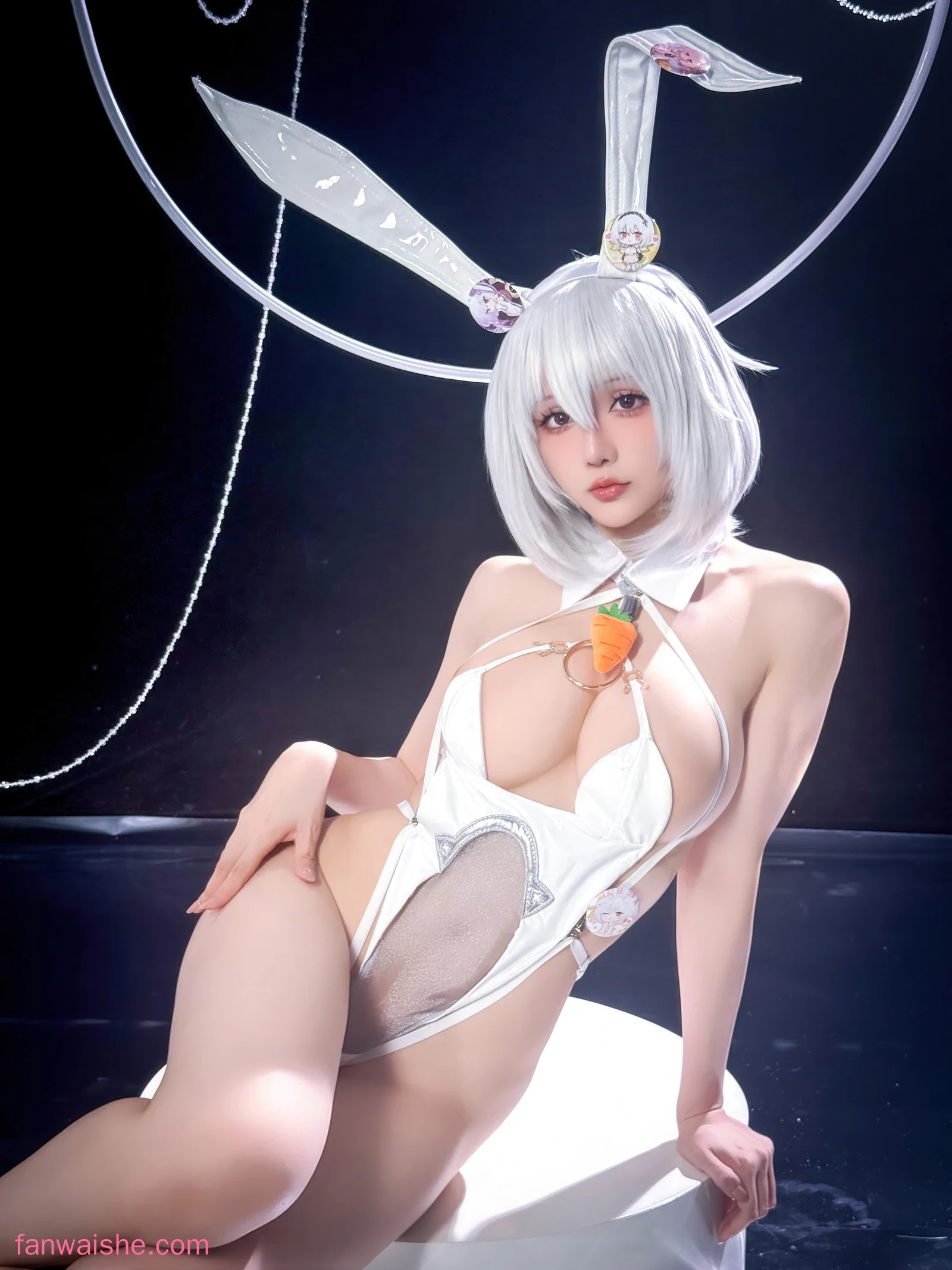 星之迟迟 星之迟迟 NO.325 - 2026年01月计划F 碧蓝航线 天狼星