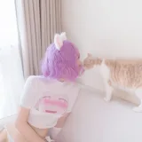 念雪《养猫守则》主题写真：36张全套美图