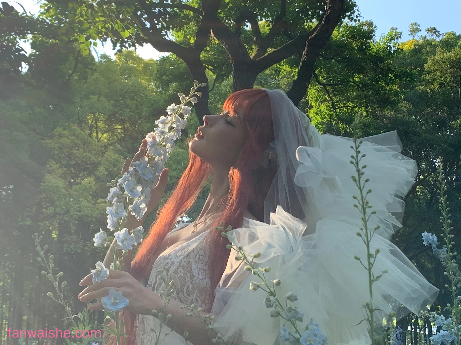 蠢沫沫 蠢沫沫 NO.349 - 《花丛婚纱》