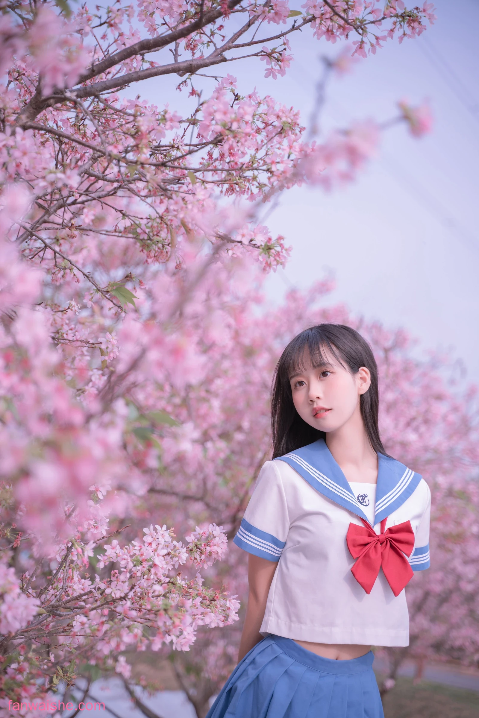 萌芽儿o0 萌芽儿o0 NO.023 - 樱花jk