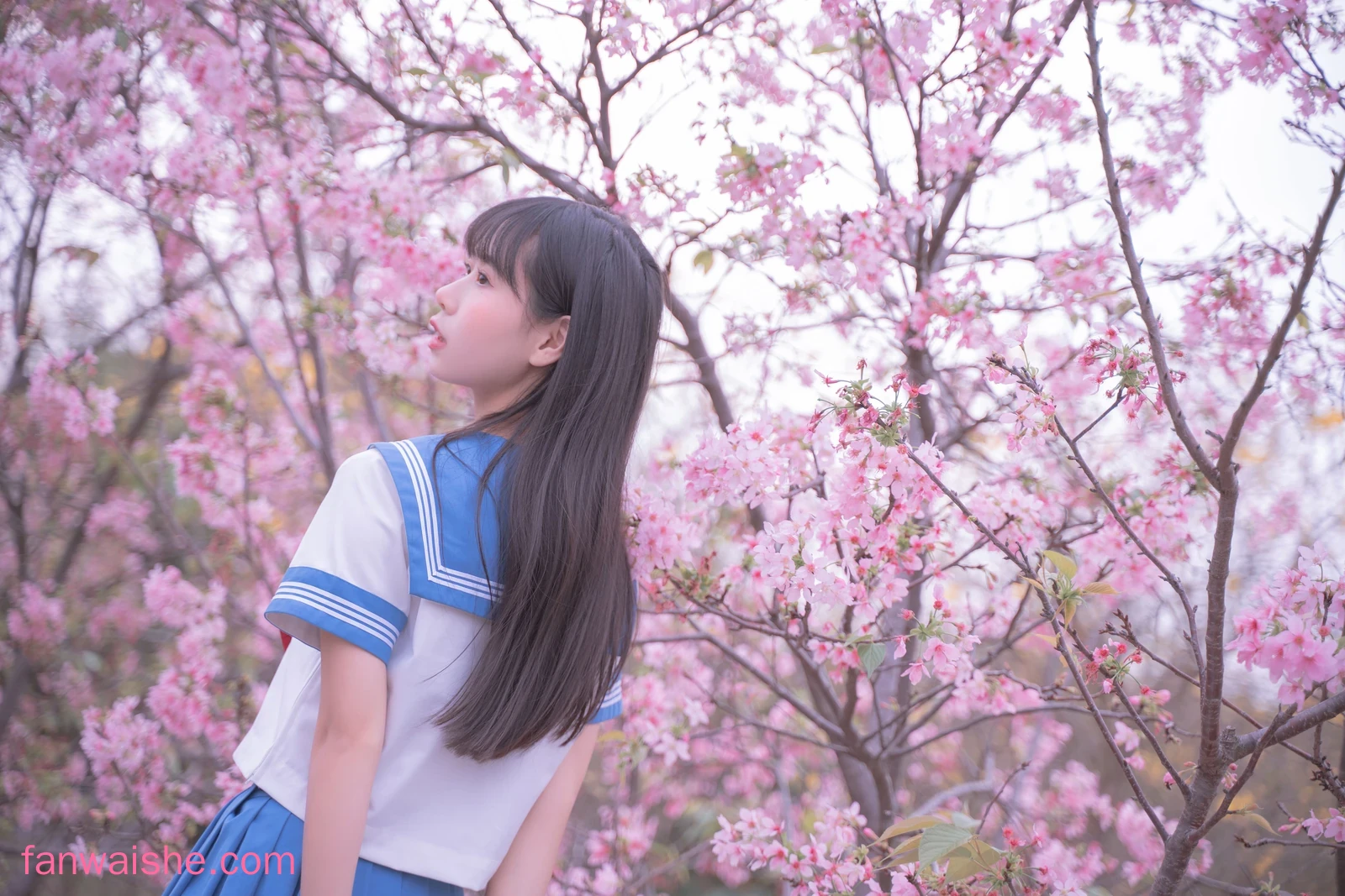 萌芽儿o0 萌芽儿o0 NO.023 - 樱花jk