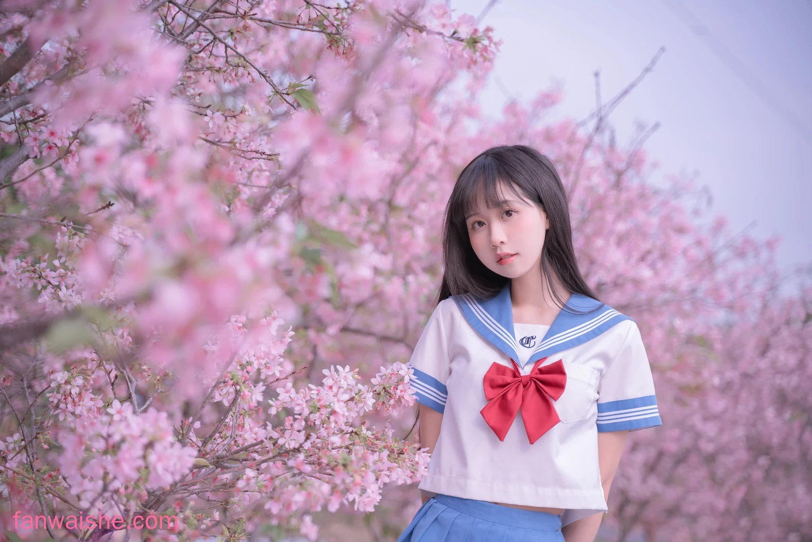 萌芽儿o0 萌芽儿o0 NO.023 - 樱花jk